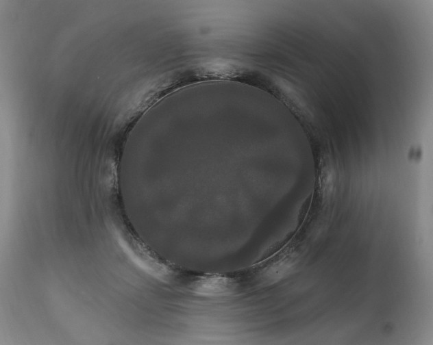 X0000111020459200906191656