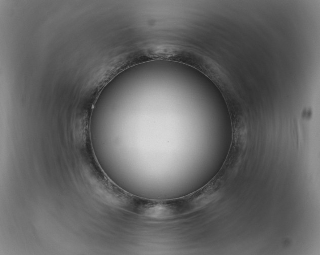 X0000111020460200906191656