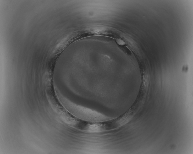 X0000111020461200906191656