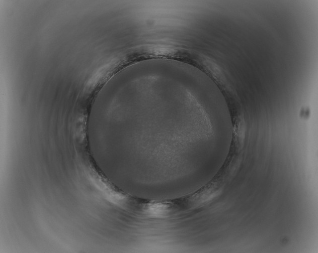 X0000111020462200906191656