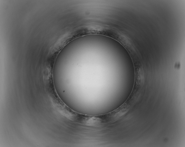 X0000111020463200906191656