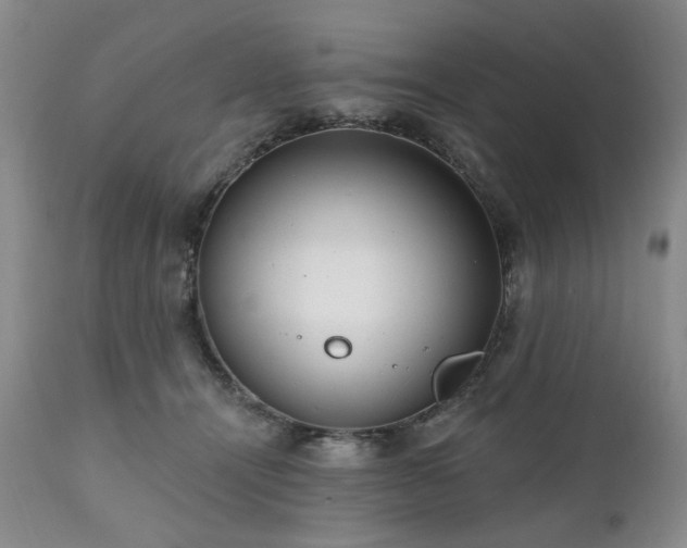 X0000111020464200906191656