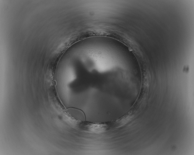 X0000111020465200906191656