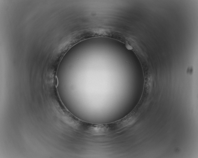 X0000111020466200906191656