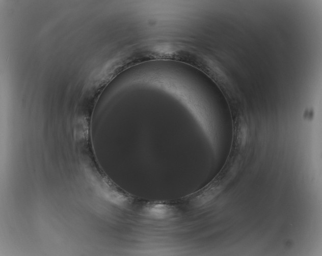 X0000111020467200906191656