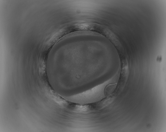 X0000111020469200906191656