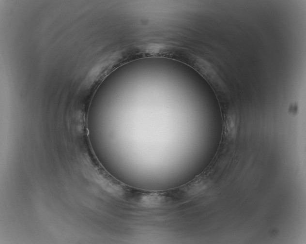 X0000111020470200906191656