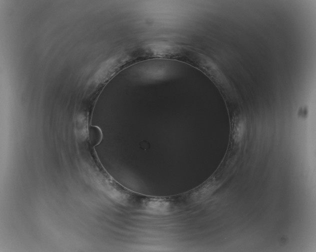 X0000111020471200906191656