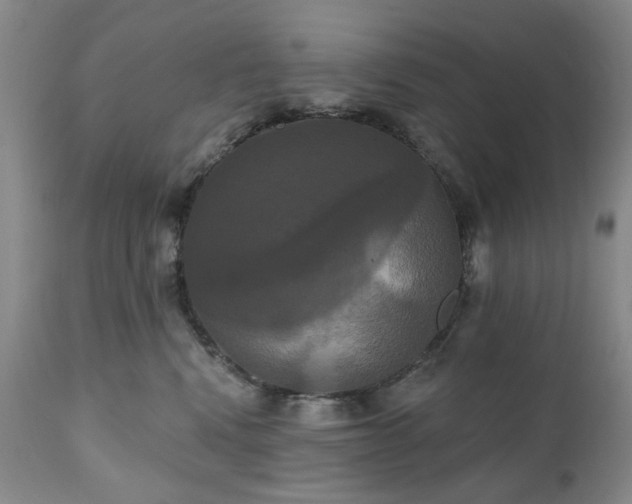 X0000111020472200906191656