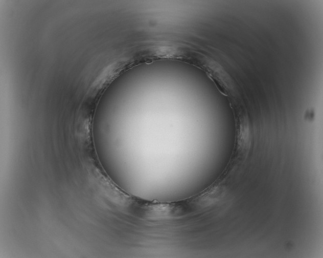 X0000111020473200906191656