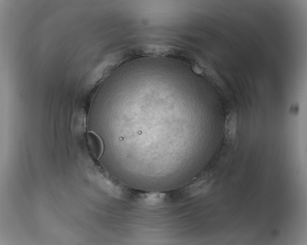 X0000111020474200906191656