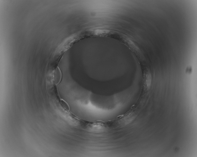 X0000111020475200906191656