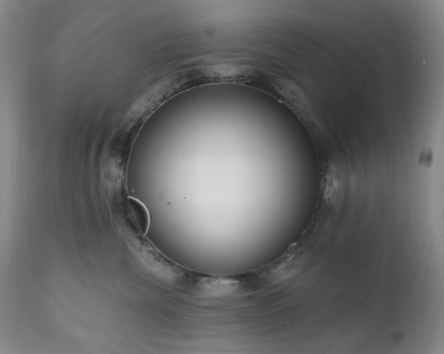 X0000111020476200906191656