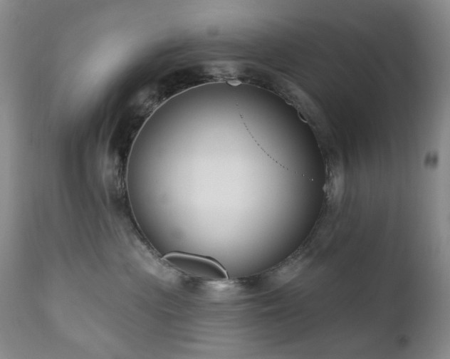 X0000111020477200906191657