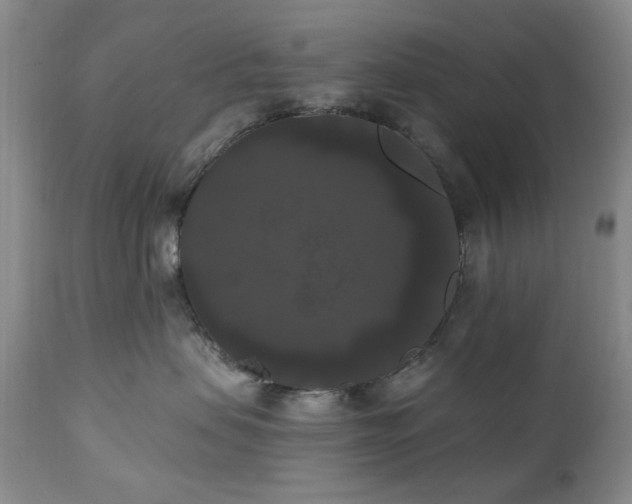 X0000111020479200906191657