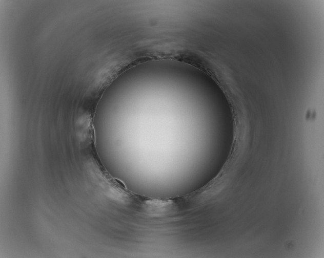 X0000111020480200906191657