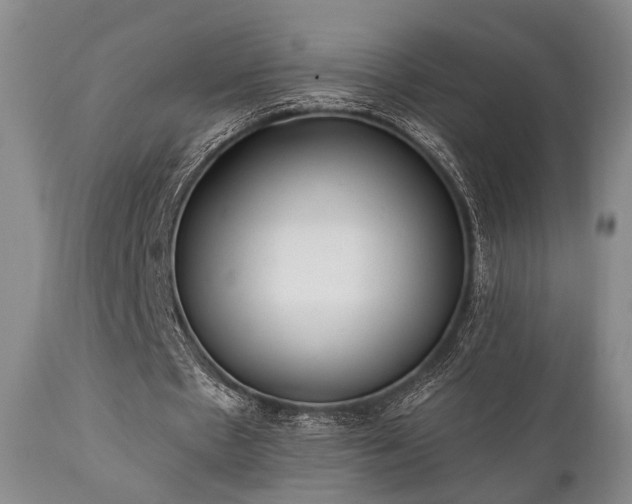 X0000111020481200906191656