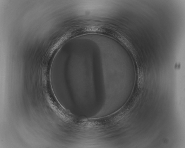 X0000111020482200906191656