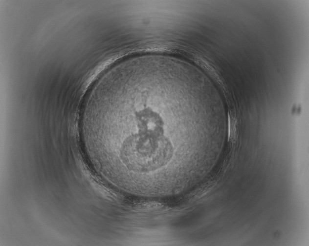 X0000111020483200906191656
