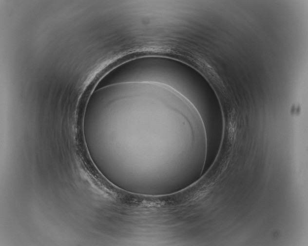X0000111020484200906191656