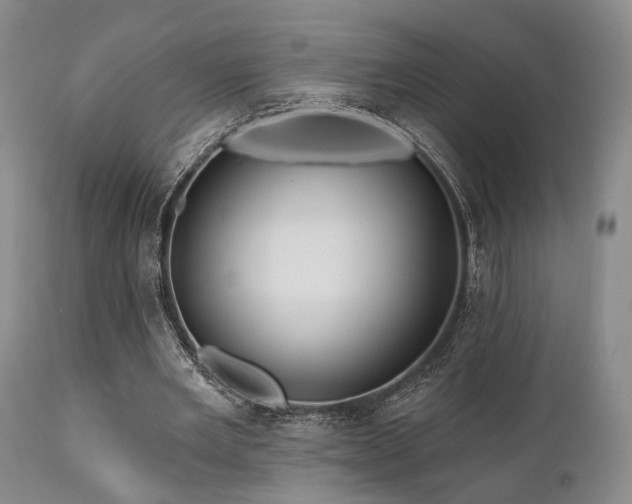 X0000111020485200906191656
