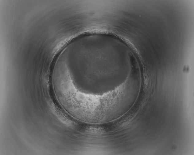 X0000111020487200906191656