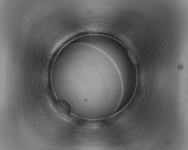 X0000111020488200906191656
