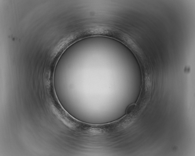 X0000111020490200906191656