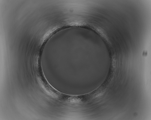 X0000111020491200906191656