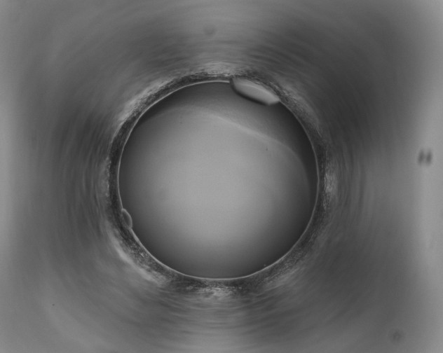X0000111020492200906191656