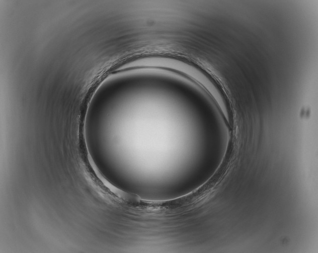 X0000111020493200906191656