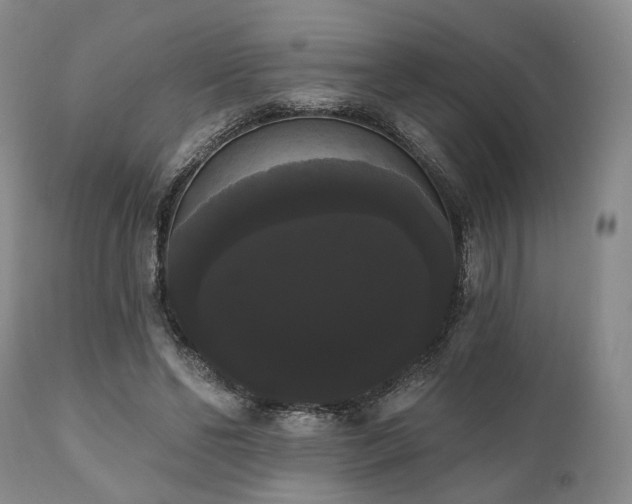X0000111020494200906191656