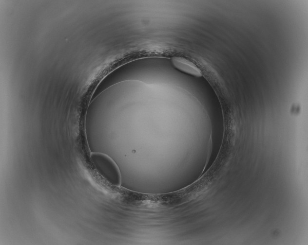 X0000111020496200906191655