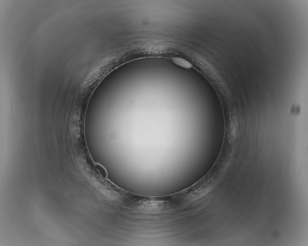 X0000111020497200906191655