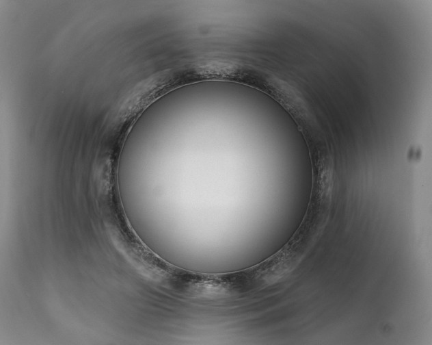 X0000111020498200906191655