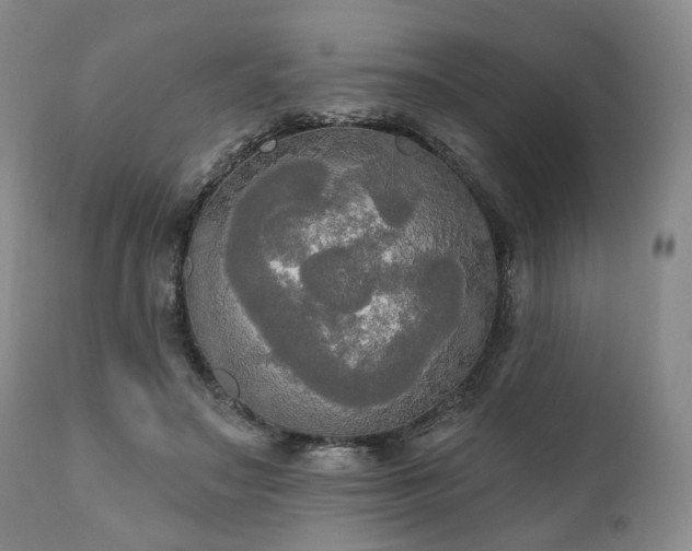 X0000111020499200906191655