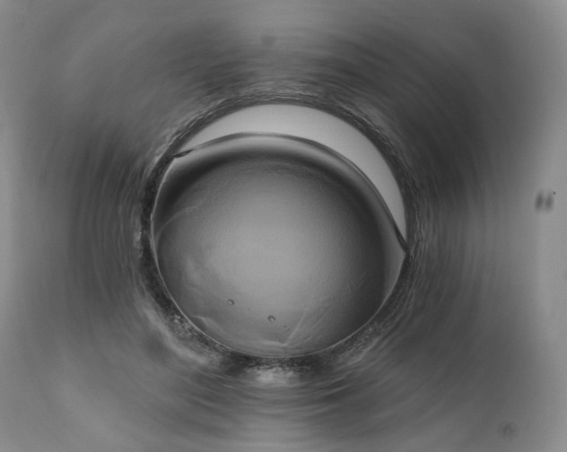 X0000111020500200906191655