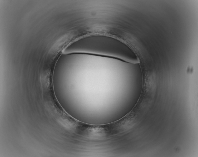 X0000111020501200906191655