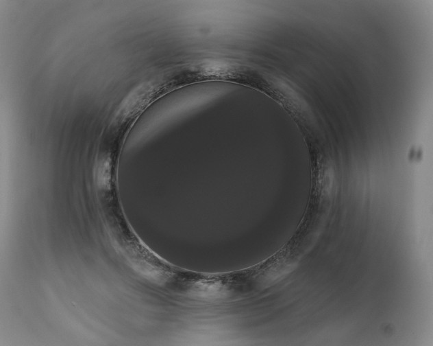X0000111020502200906191655