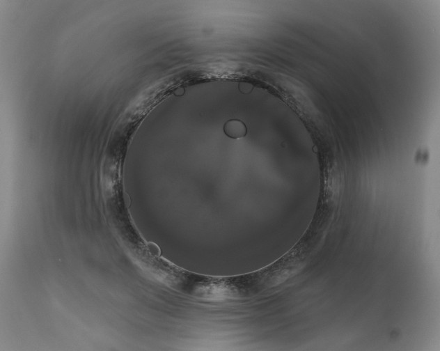 X0000111020503200906191655