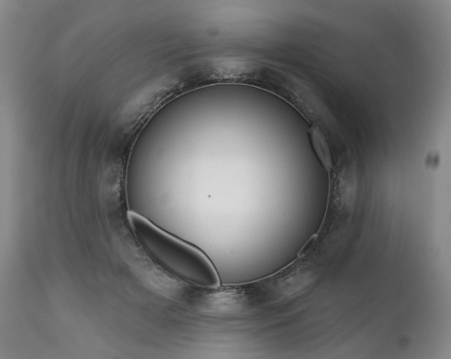 X0000111020505200906191655