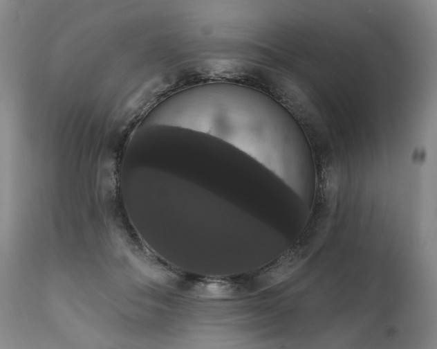 X0000111020506200906191655
