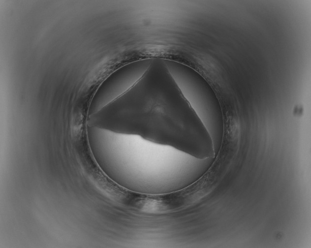 X0000111020507200906191655