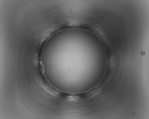 X0000111020508200906191655