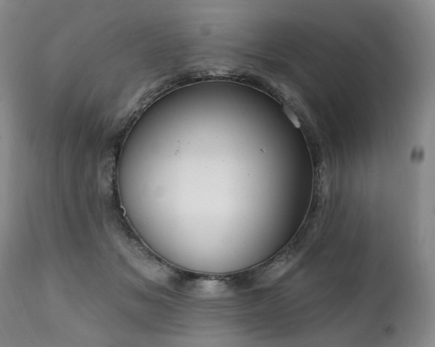 X0000111020509200906191655
