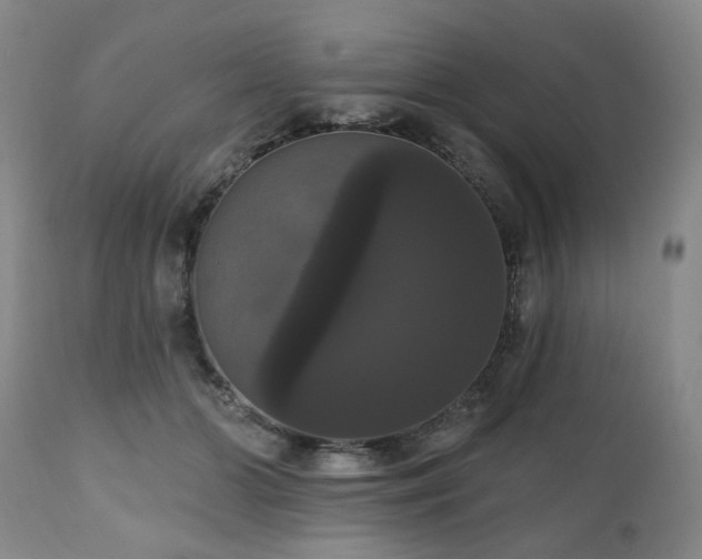 X0000111020510200906191655
