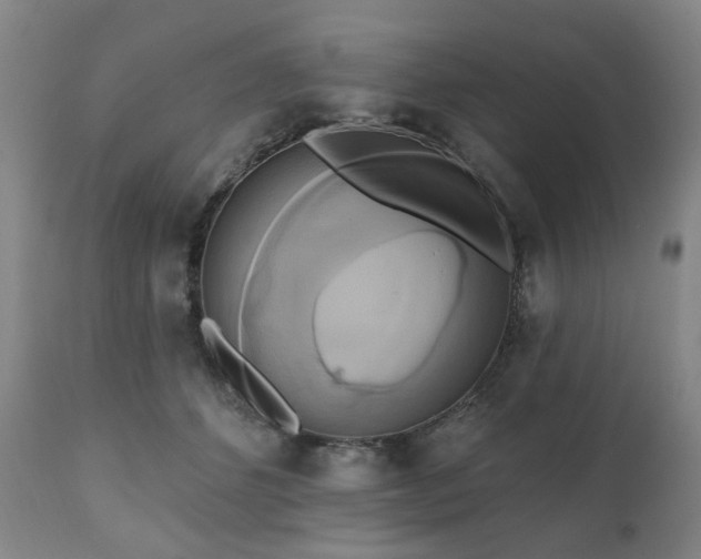 X0000111020512200906191655