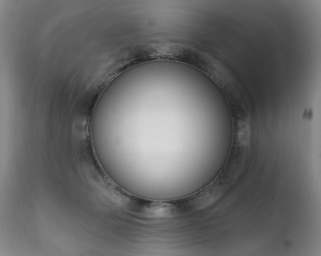 X0000111020514200906191655