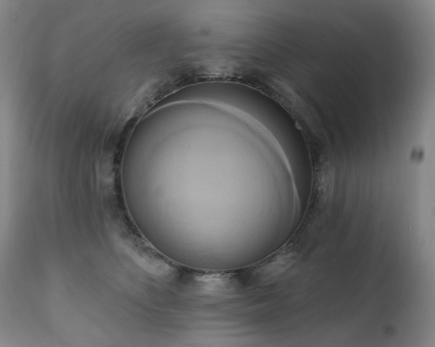 X0000111020516200906191655