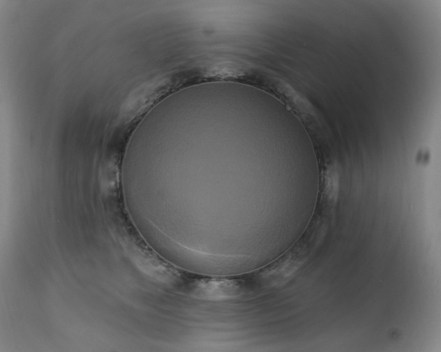 X0000111020517200906191655